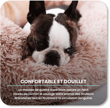 Remportez un coussin pour chien Puppy Love