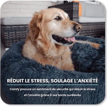 Remportez un coussin pour chien Puppy Love